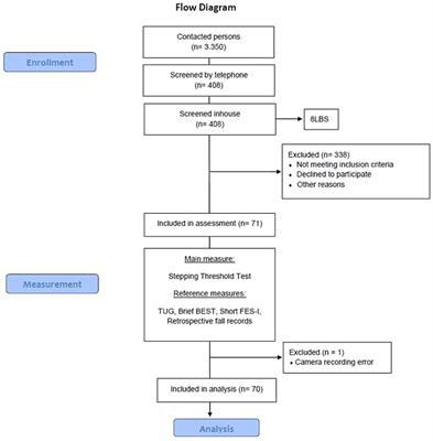 The Stepping Threshold Test for Reactive Balance: Validation of Two Observer-Based Evaluation Strategies to Assess Stepping Behavior in Fall-Prone Older Adults